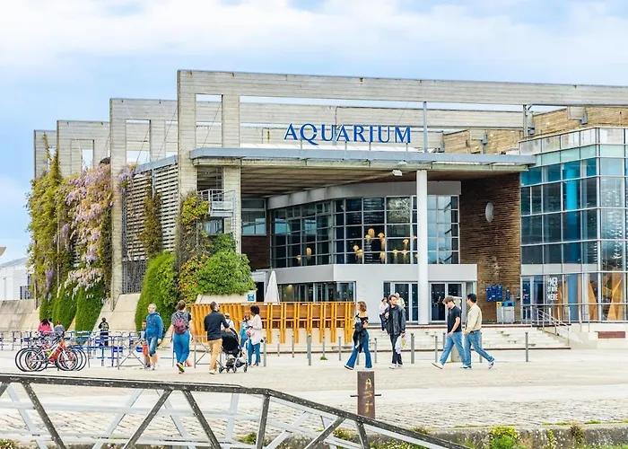 Comfortable Stay, Sea & Within Walking Distance